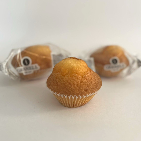 magdalenas esponjosas