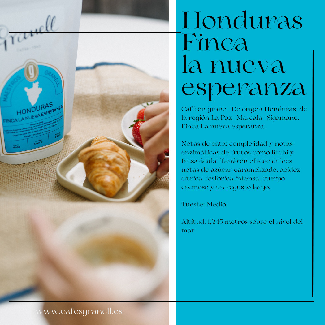 Pack cafetera Cold Brew Especialidad