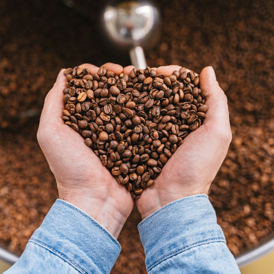 Café en gano arábica
