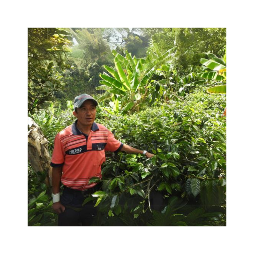 Colombia Coffee Finca El Diamante 250g