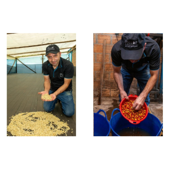 Colombia - Café Finca El Mirador 250g