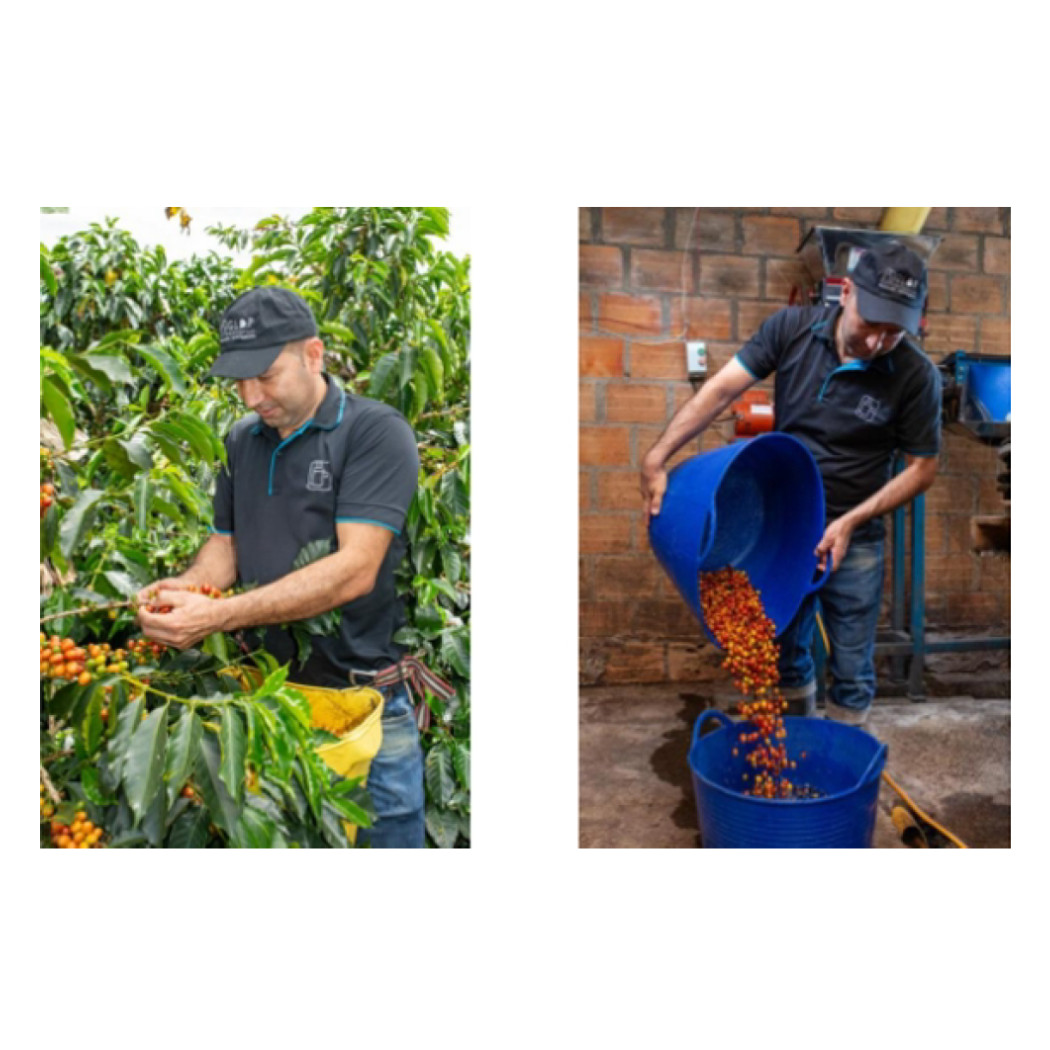 Colombia - Coffee Finca El Mirador 250g