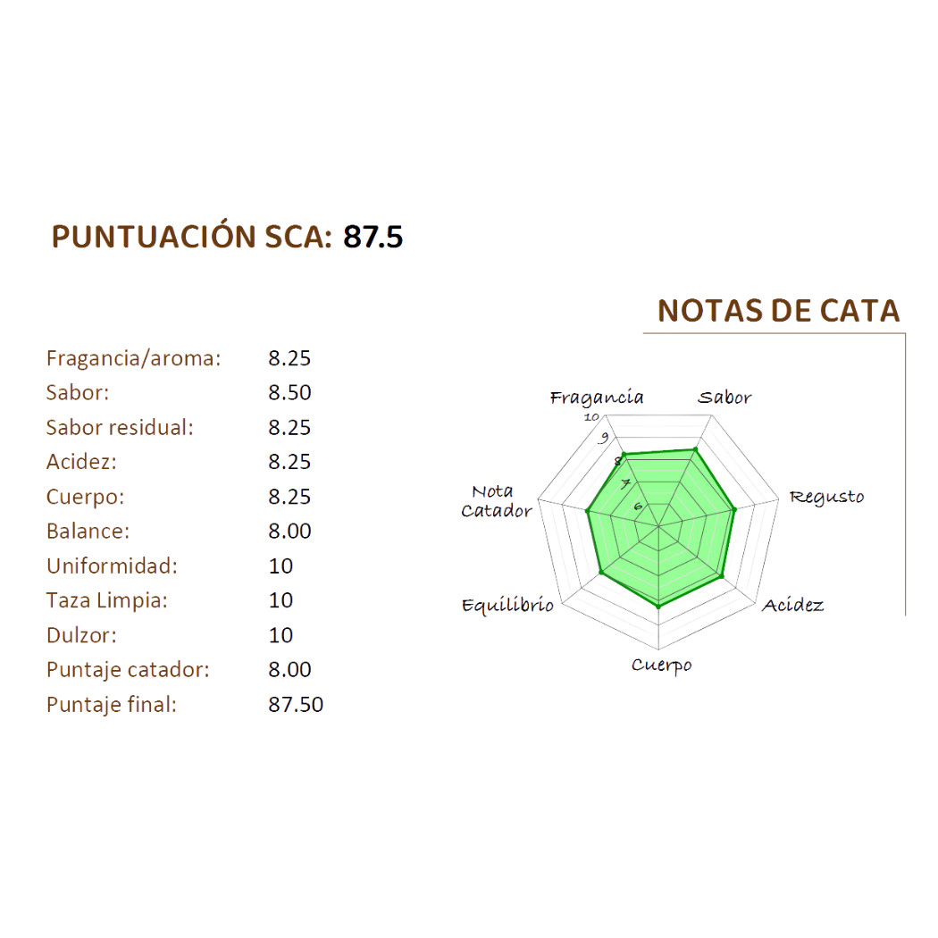 Honduran Coffee - La Nueva Esperanza...