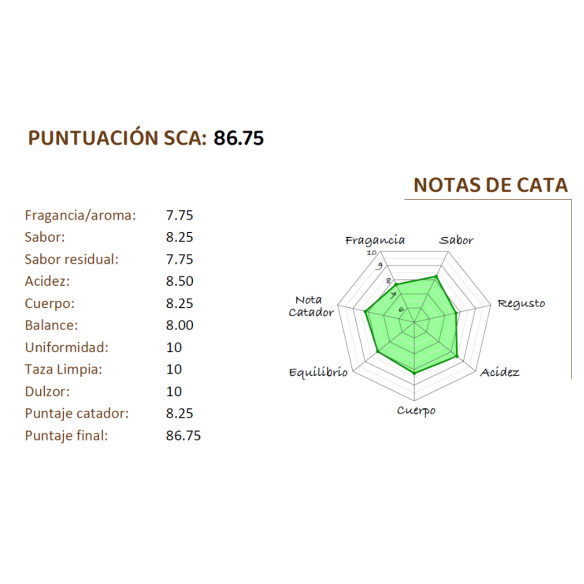 Costa Rica Coffee - Finca El Patio 250g