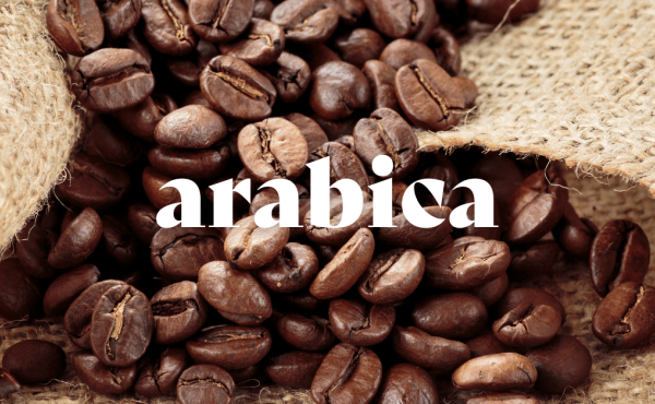 Arabica Kahve Nedir? 