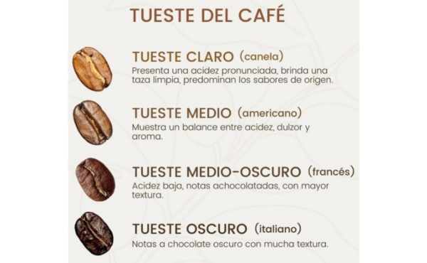 Tipos de Tuestes de Café: Guía Completa para Elegir el Mejor